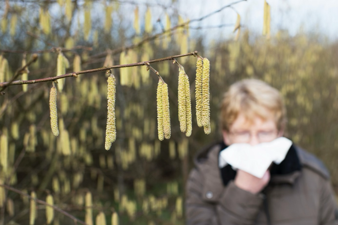 Kvinna nyser på grund av pollen